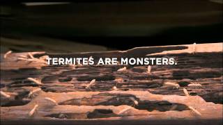 Terminix 2012  TVC Eggs [upl. by Ardnua]