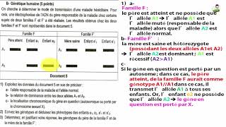 06 EXERCICE 2  Génétique humaine  Bac Tunisie [upl. by Haila]