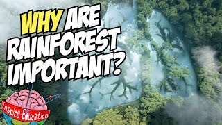 Why are rainforests important [upl. by Asia]