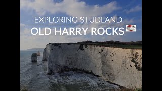 Exploring Studland Isle of Purbeck Old Harry Rocks Agglestone Rock Studland amp Godlingston Heath [upl. by Salkin]