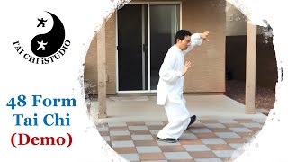 48 Form Tai Chi Demo [upl. by Elleivad470]